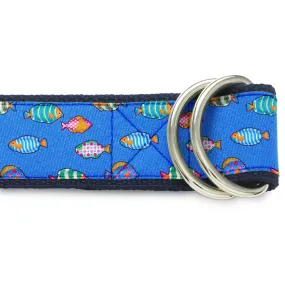 Acquario Sapphire - D-Ring Belts