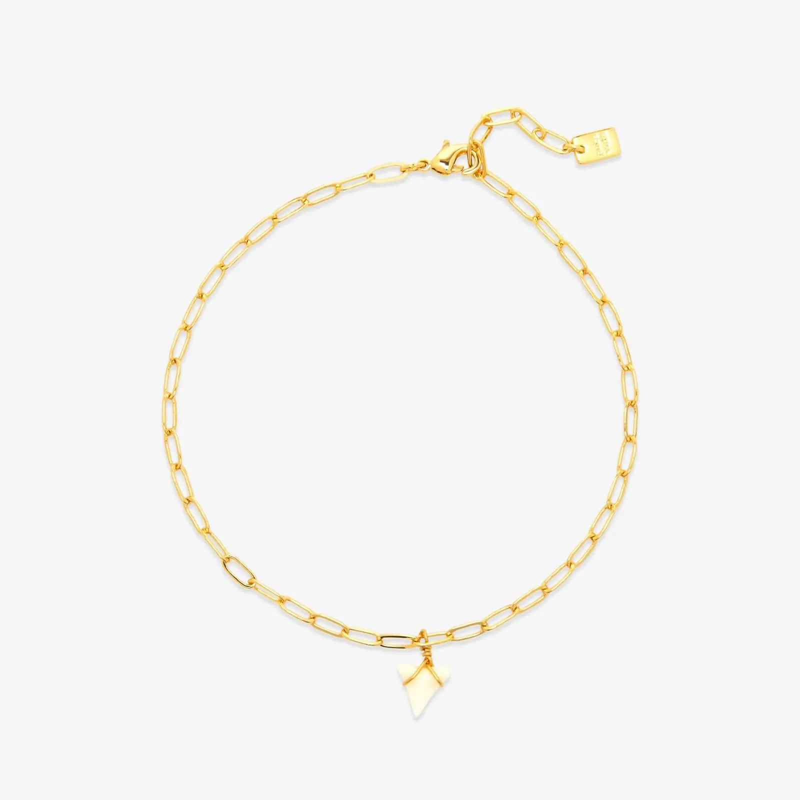 White Shark Tooth Chain Anklet